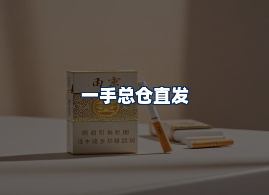 专业团队办公环境